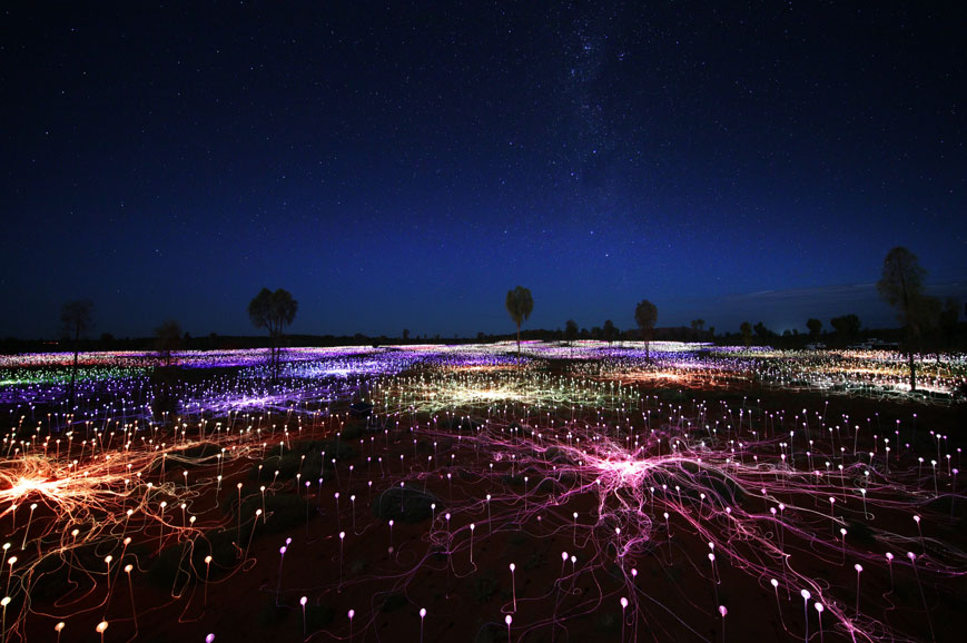 Uluru - Field of Light 