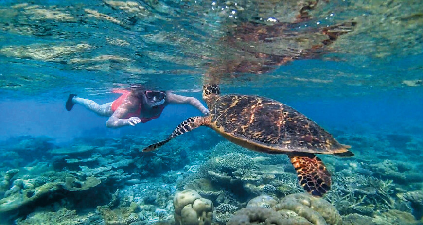 Isabela - Los Tuneles Snorkelling Experience